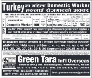 Domestic Worker