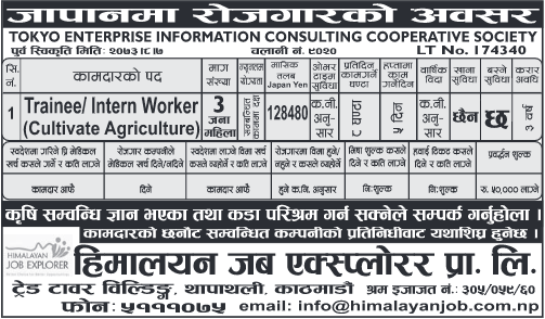 Vacancy for Trainee/Internal Worker