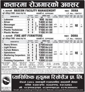 Driver, Foreman, Worker & Other