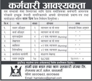 Accountant, Cashier, Marketing Officer & Other